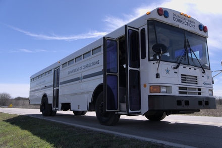 Buses