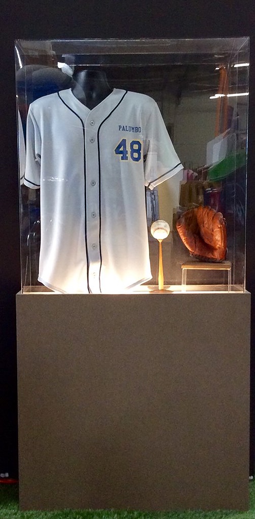 New York Yankees Jersey Display Case