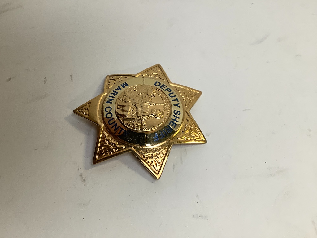 7-Point Star Badge
