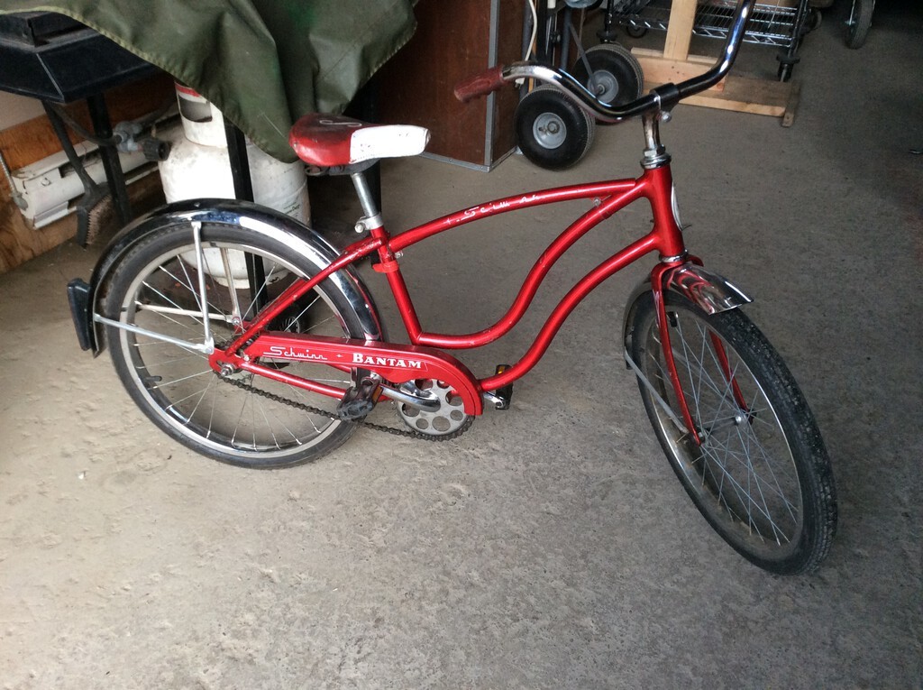 schwinn bantam