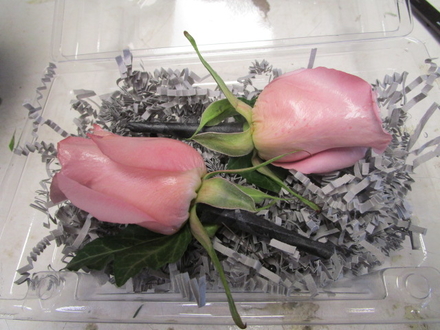 main photo of Fresh Floral Pink Rose Boutonniere