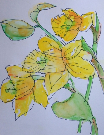 main photo of EVEJUD-Daffodils 2 DF