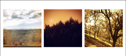 Trees Triptych main photo of Trees Triptych
