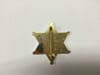 Badge ~ Gold Deputy Sheriff