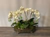 Orchid and Succulent Footed Tray A