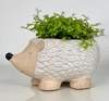 Hedgehog Planter with live plant