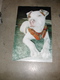 Unframed Cleared Poster; White Dog Laying Down