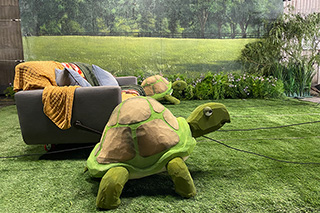 Turtle Props for Netflix Commercial