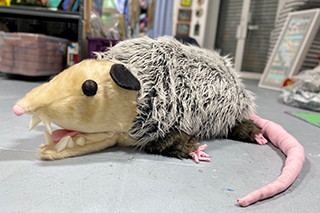 Handmade Giant possums for Feature Film "Bromates"