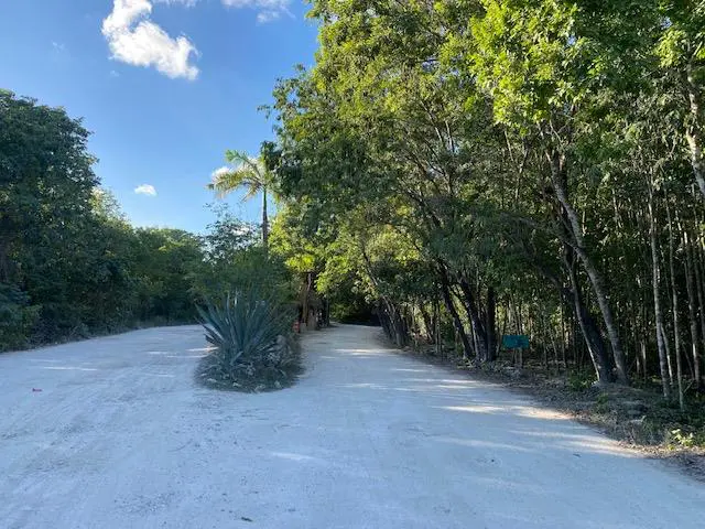THE OPPORTUNITY TO LIVE IN THE JUNGLE IS NOW | LAND IN PUEBLO SACBE | PLAYA DEL CARMEN – SacBe