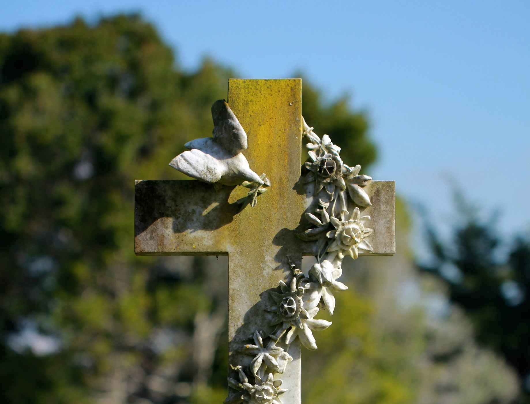 What Happens if Your Landlord Dies?