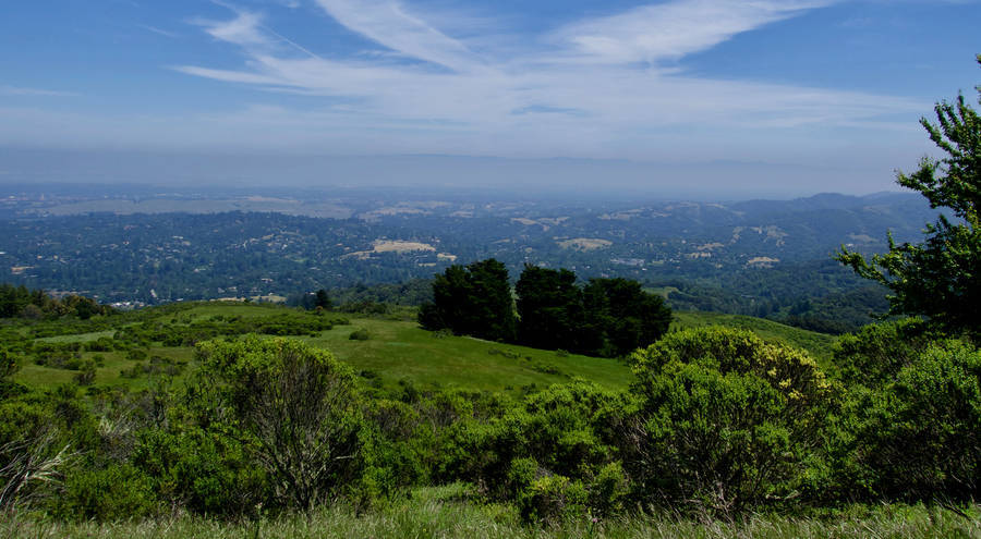Los Altos, California