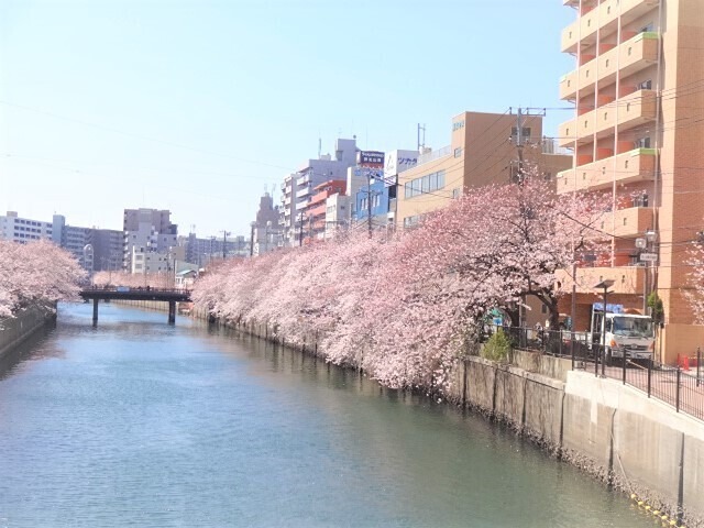 眺望