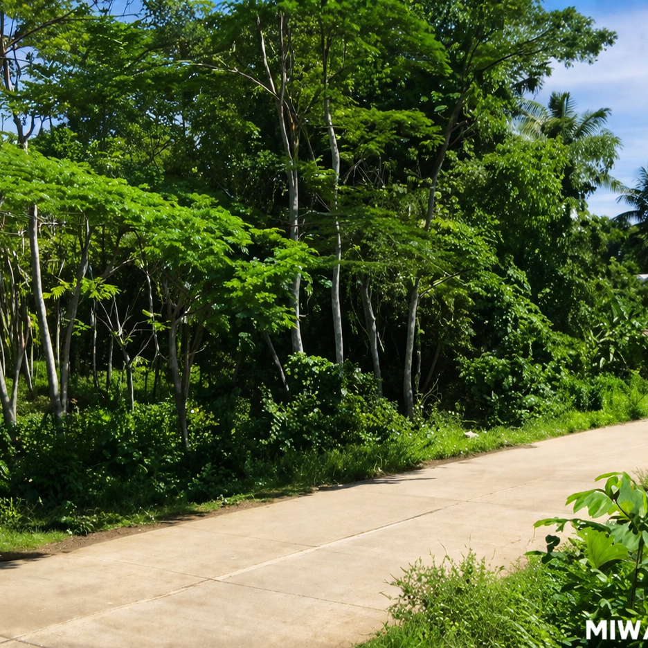 Commercial Lot For Sale in Opol, Misamis Oriental
