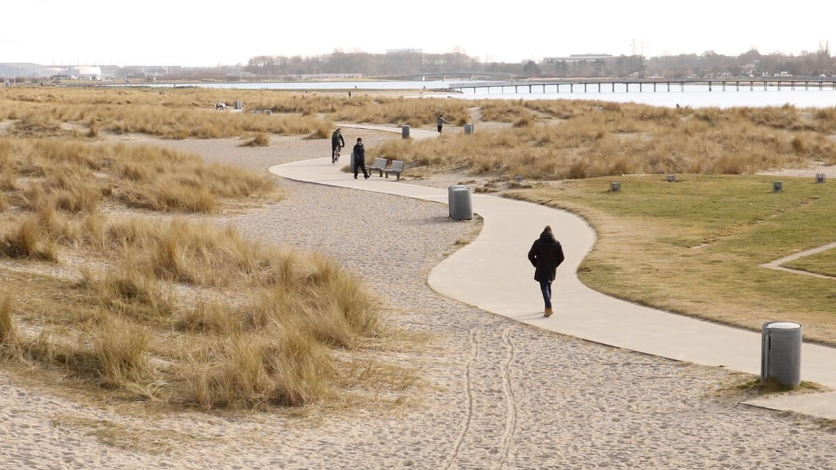 Amager-Strand-park.jpeg