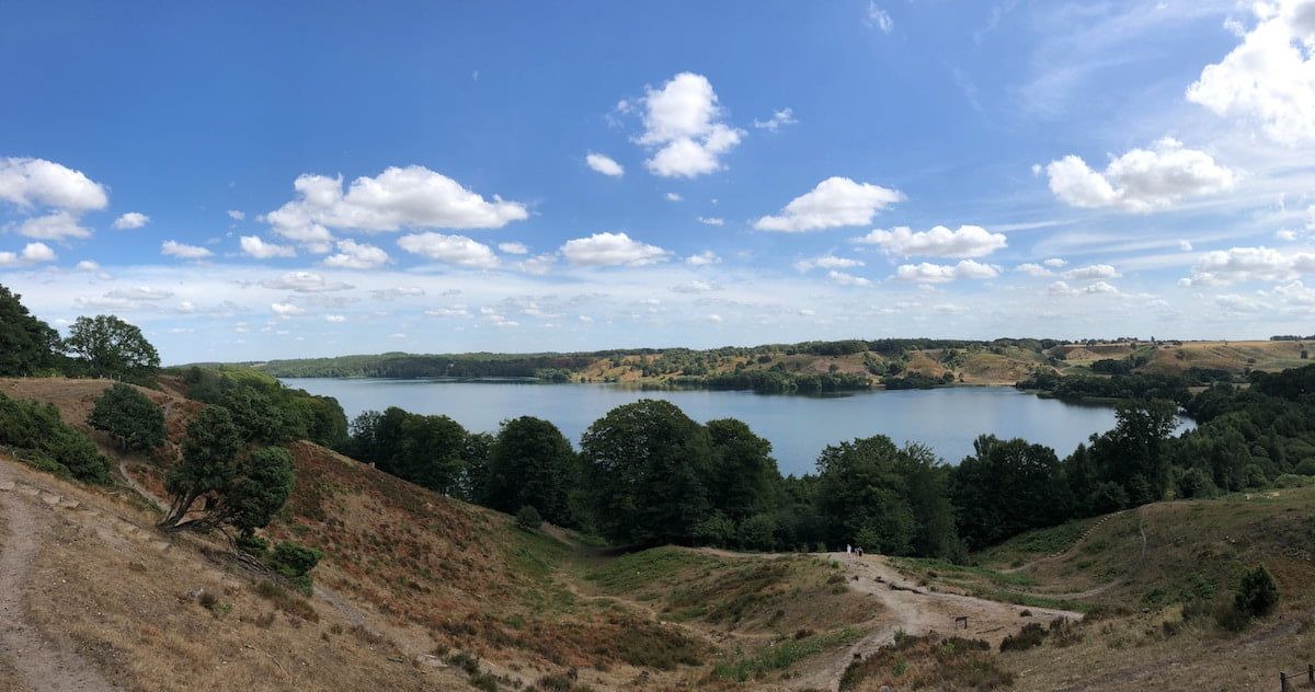 Lejeboliger i Viborg