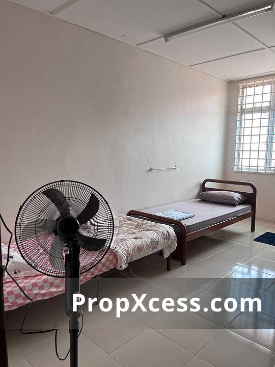4-Bedroom Terrace / Link for rent in Kelantan photo 9