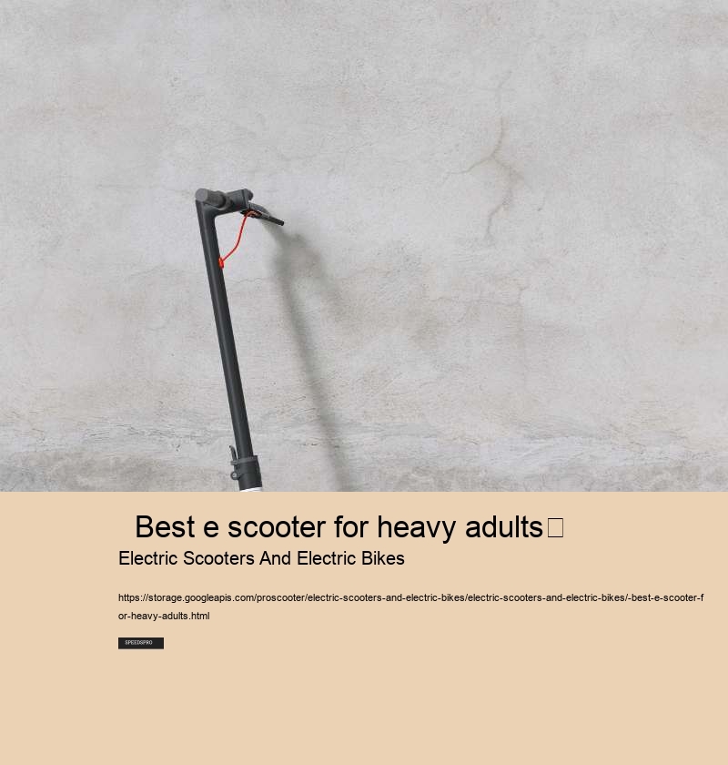   Best e scooter for heavy adults	 