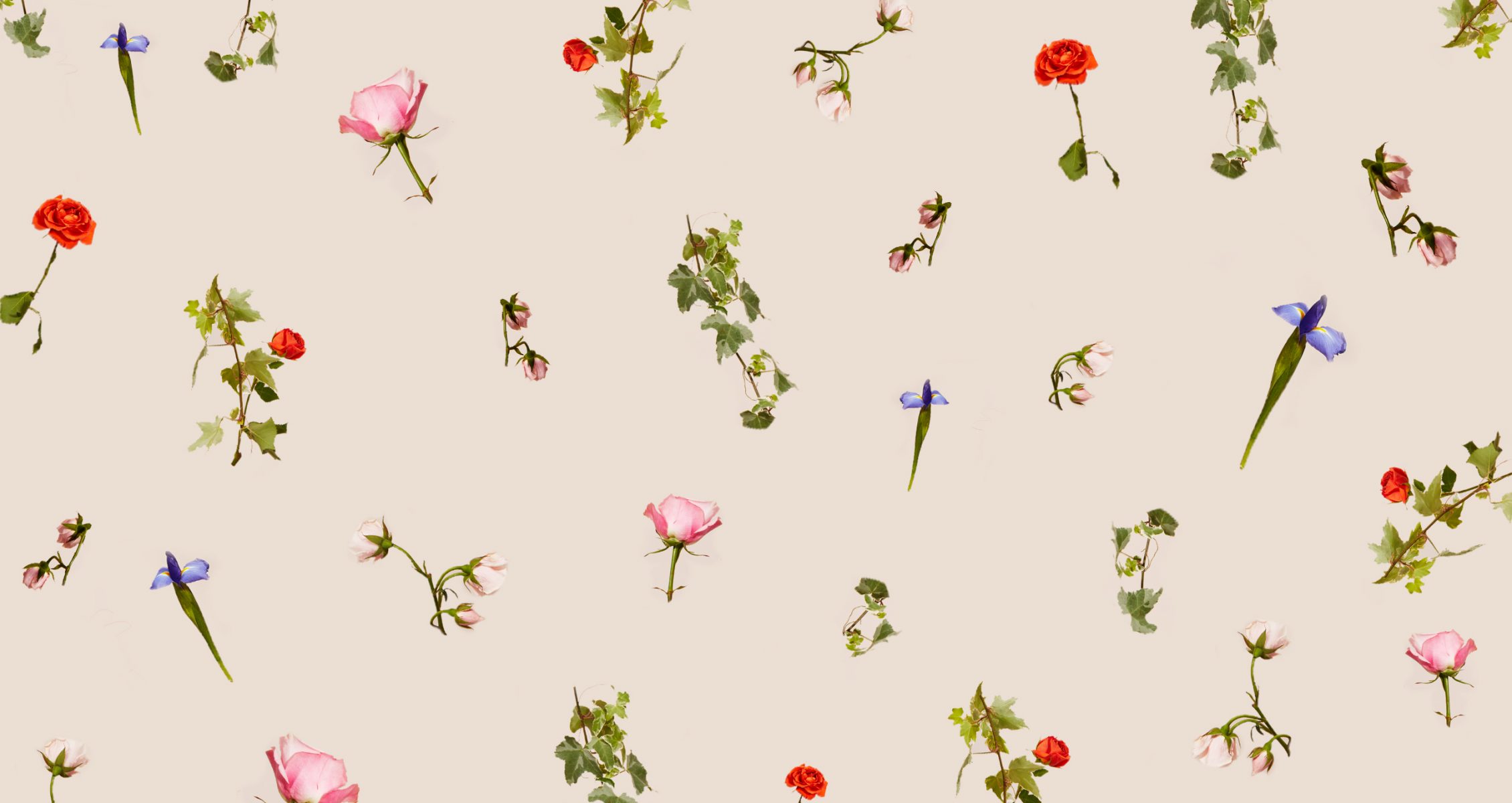 Brighten Up Your Zoom Background with a Flower Wall | P.S. by Prose Hair