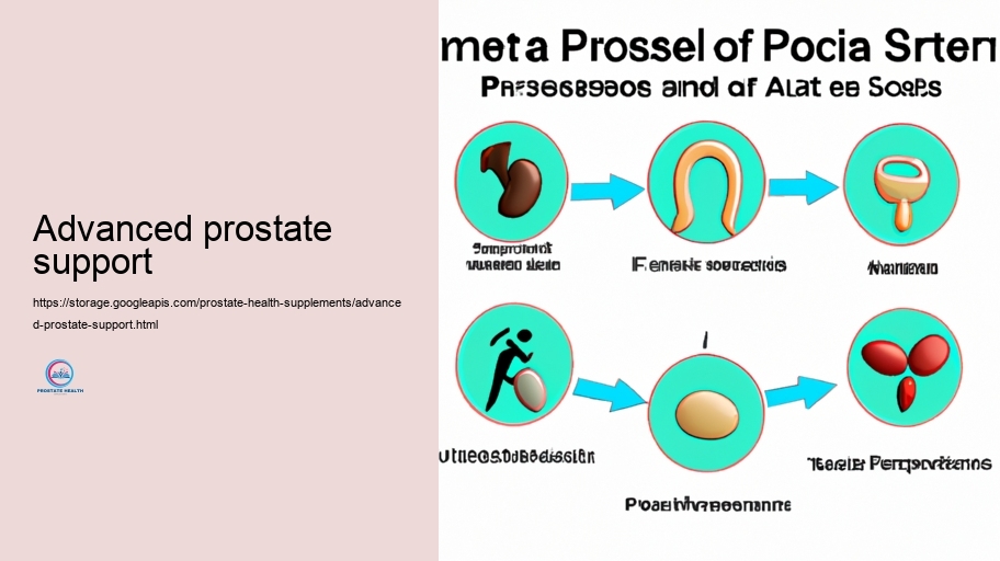 Possible Adverse Results and Communications of Prostate Supplements