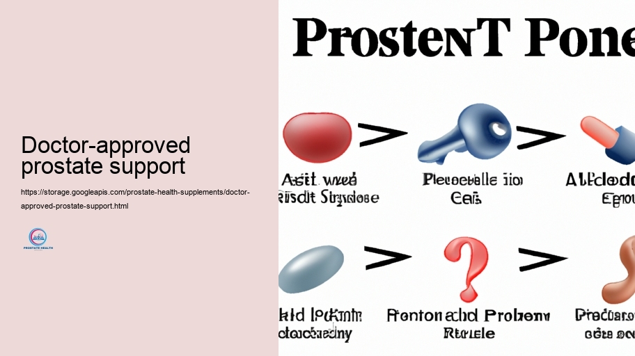 Key Energised Energetic active ingredients in Prostate Supplements and Their Activities