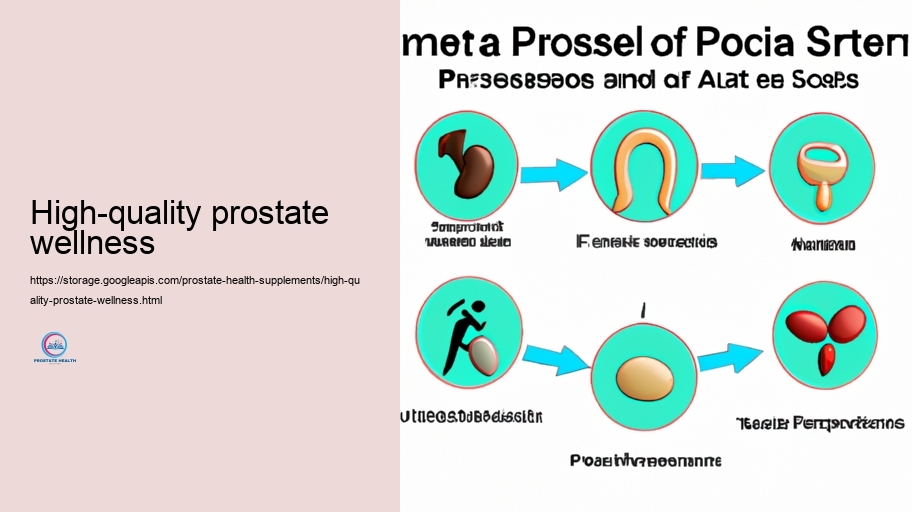 Contrasting Popular Prostate Health Supplements: Advantages And Drawbacks