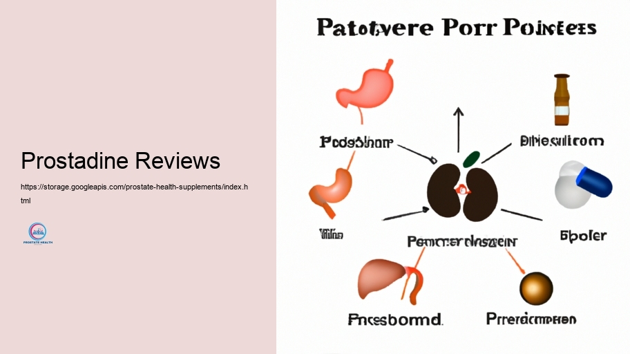 Method Parts in Prostate Supplements and Their Tasks