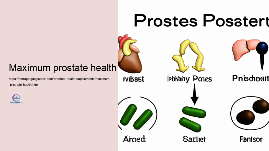 Secret Parts in Prostate Supplements and Their Tasks