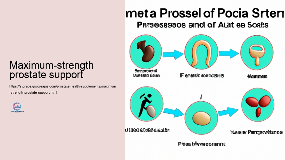 Key Parts in Prostate Supplements and Their Jobs