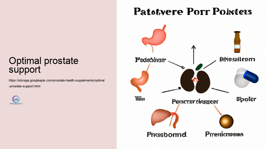 Feasible Negative Outcomes and Communications of Prostate Supplements