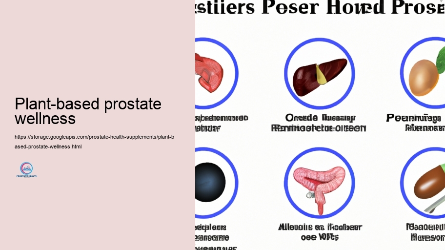 Technique Energised Parts in Prostate Supplements and Their Tasks