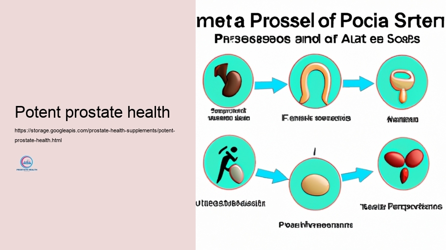 Feasible Damaging Results and Communications of Prostate Supplements