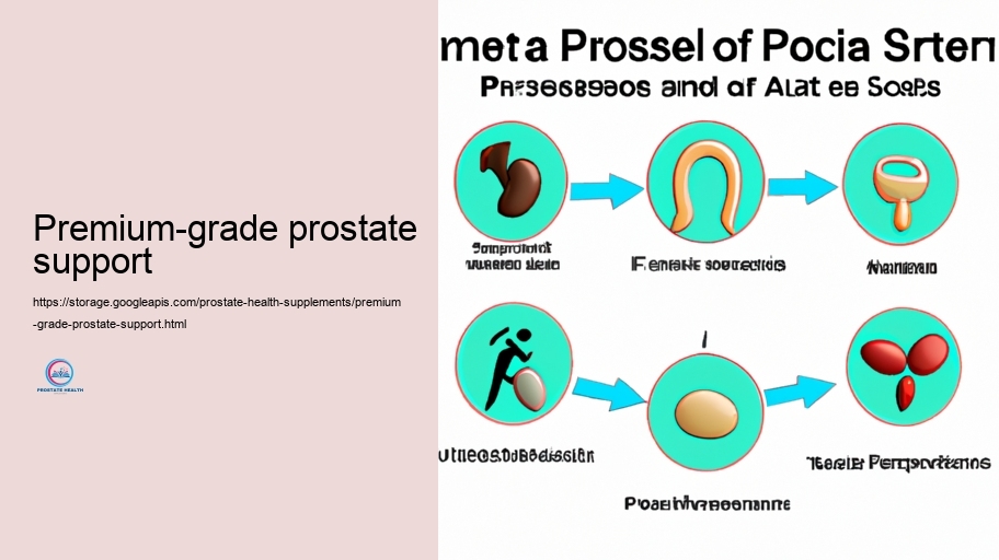 Secret Energetic components in Prostate Supplements and Their Activities