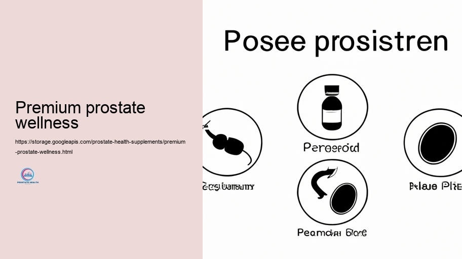 Technique Components in Prostate Supplements and Their Tasks