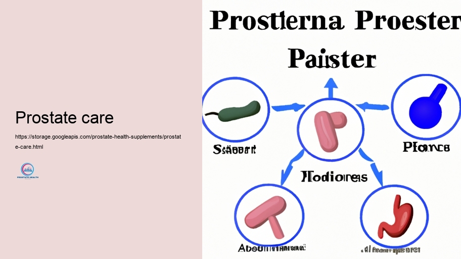 Key Energetic Components in Prostate Supplements and Their Activities