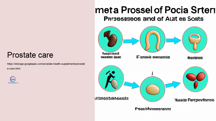 Technique Energetic Active ingredients in Prostate Supplements and Their Actions