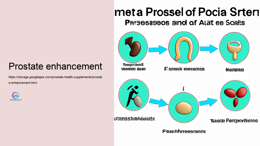 Secret Elements in Prostate Supplements and Their Activities