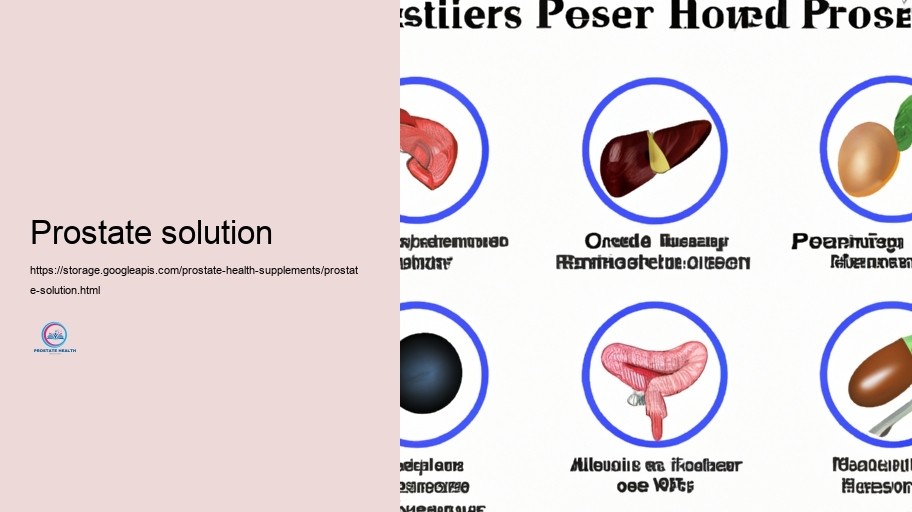 Secret Components in Prostate Supplements and Their Tasks