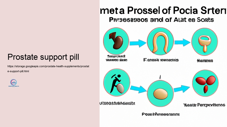 Contrasting Popular Prostate Health Supplements: Advantages And Drawbacks