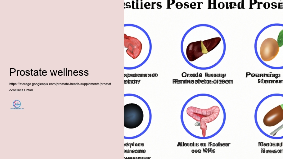 Secret Elements in Prostate Supplements and Their Tasks