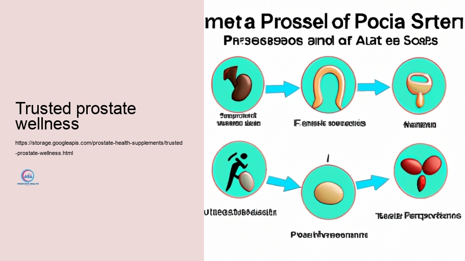 Contrasting Popular Prostate Health Supplements: Advantages And Negative aspects