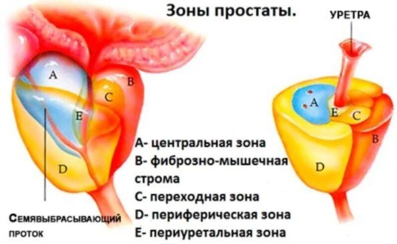 Индекс глиссона что это такое. Смотреть фото Индекс глиссона что это такое. Смотреть картинку Индекс глиссона что это такое. Картинка про Индекс глиссона что это такое. Фото Индекс глиссона что это такое