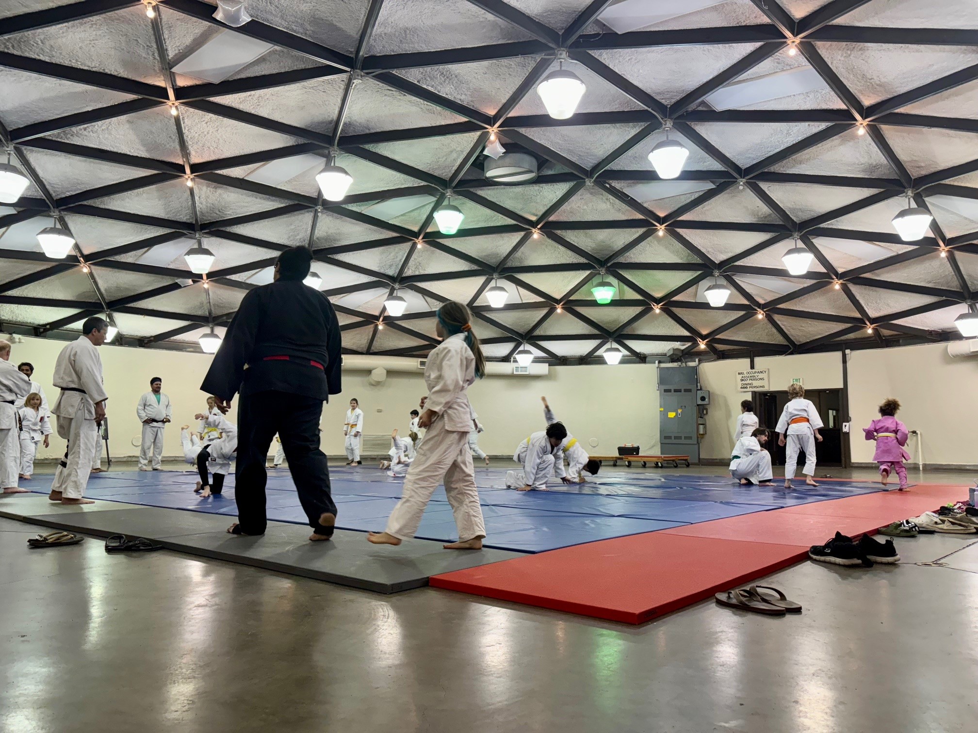 An all-ages Judo class held in Herzog Hall, February 2024.