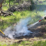 Two people in yellow shirts tending to a smoldering pile of debris in a natural setting.