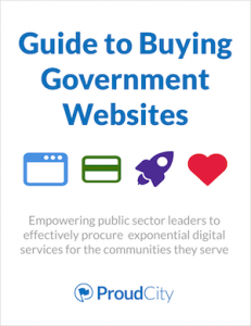 Guide to Buying Government Websites