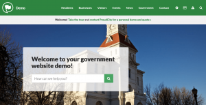 Government website demo