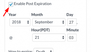 Post Expirator Plugin