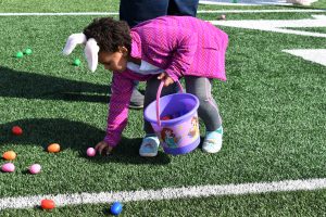 egg hunt