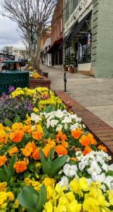 Raised bed in town