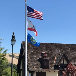 Flags at City Hall